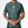 Maglia Algeria Away 2425