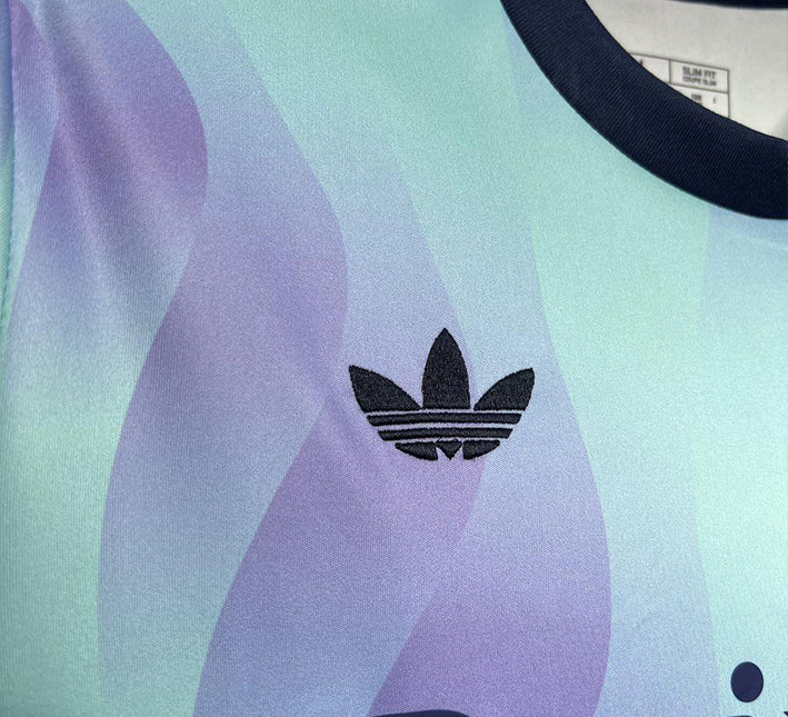 maglia da calcio Arsenal colore alternativo 2425