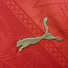 vetement-sportif-maroc-domicile-2425 abbigliamento sportivo Marocco Home 2425