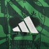 Maglia Home Messico stile concept 2023 tenuta da partita verde e bianca
