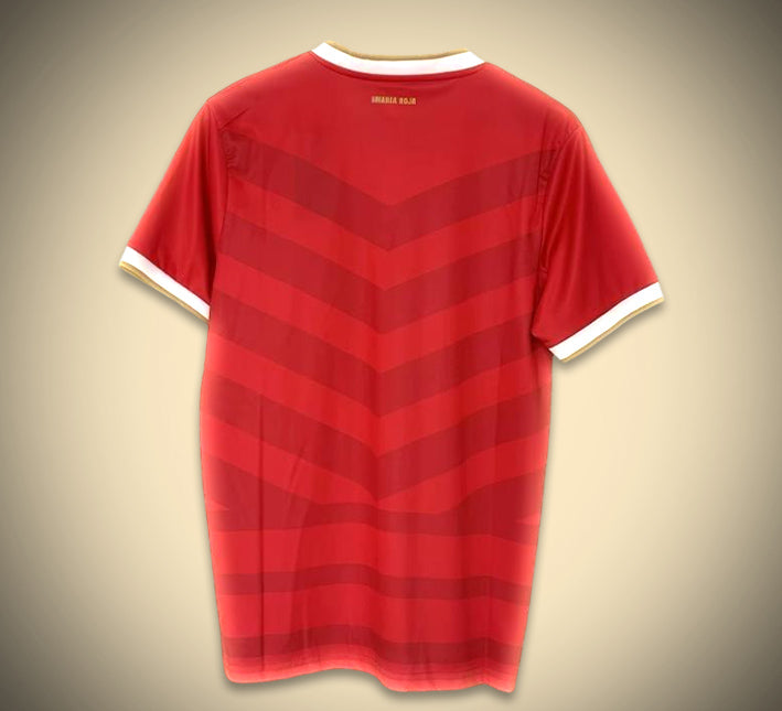 Maglia Panama Home 2024 vista posteriore