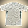 Maglia Arabia Saudita Away 2024-2025 vista di profilo