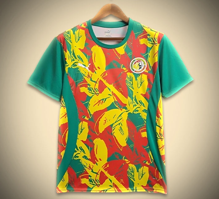 Maglia Senegal Pre-partita 2024 vista frontale