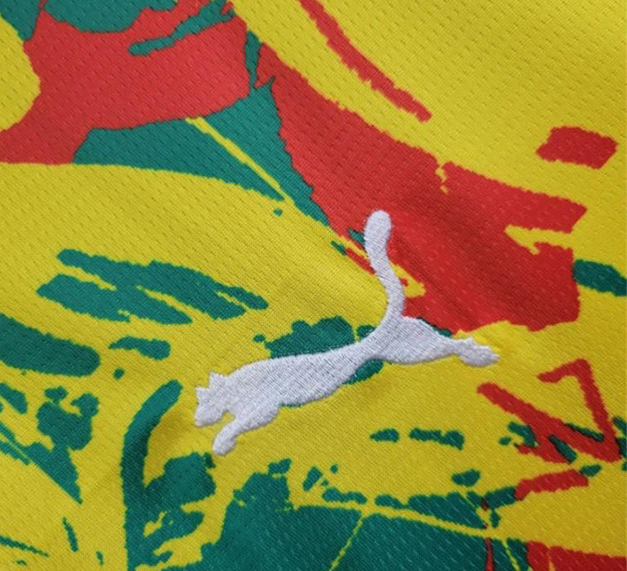 Maglia Senegal Pre-partita 2024 vista posteriore