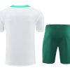 ensemble-maillot-et-short-portugal-saison-2024-2025-tenue-de-football Set maglia e short Portogallo stagione 2024 2025 tenuta di calcio