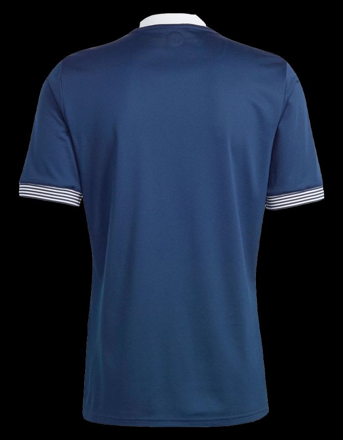 maillot-anniversaire-equipe-d-ecosse-saison-vingt-vingt-trois-vingt-vingt-quatre maglia anniversario nazionale di Scozia stagione venti ventitré venti ventiquattro