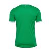 maglia home AS Saint Étienne stagione 2024 2025 verde e bianca