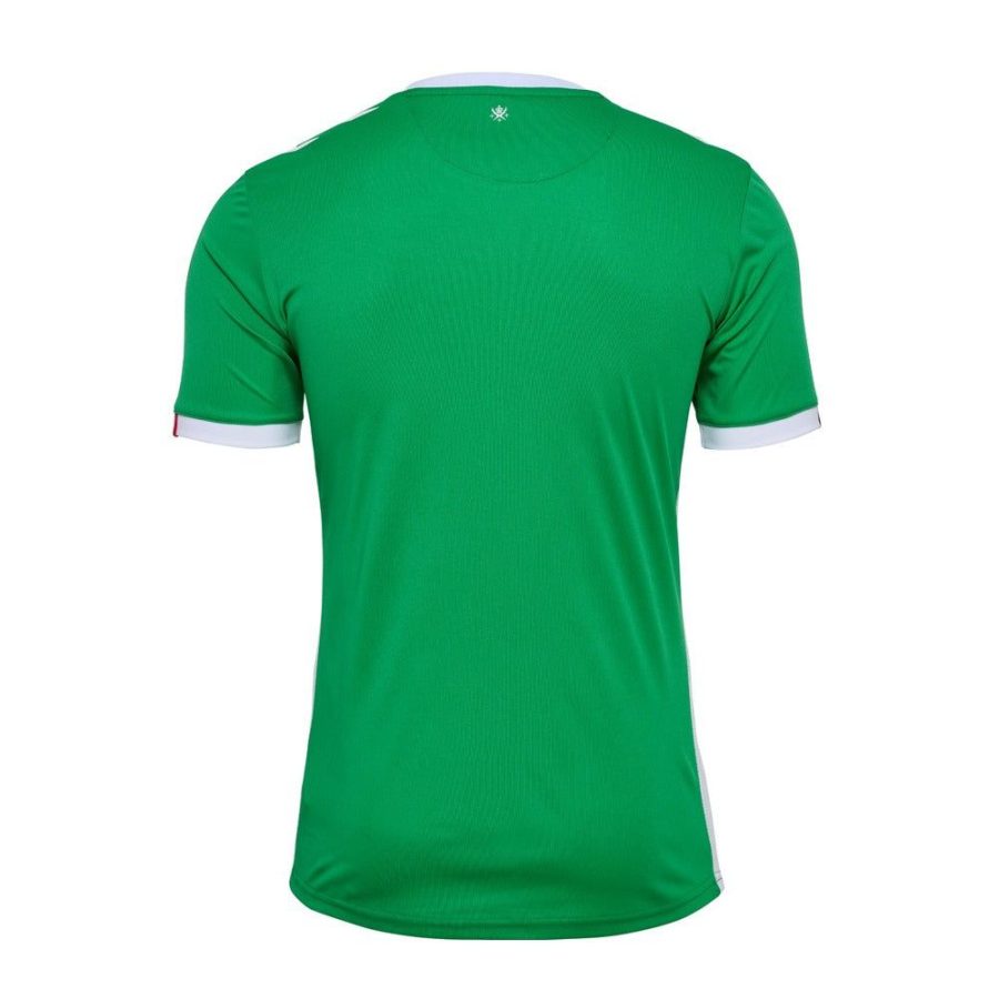 maglia home AS Saint Étienne stagione 2024 2025 verde e bianca