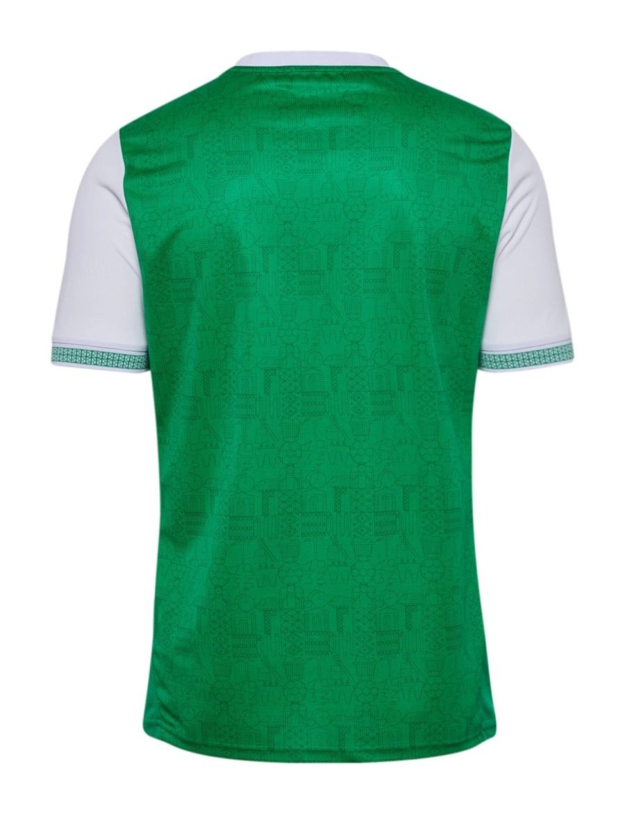 maglia home AS Saint Étienne stagione 2025 2026 verde e bianco
