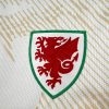 maillot-exterieur-pays-de-galles-2026 Maglia Away Galles 2026