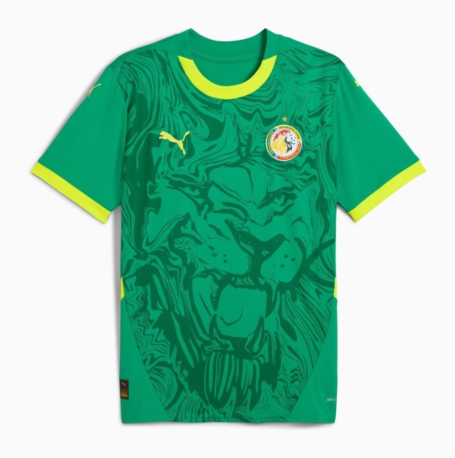 MAGLIA SENEGAL AWAY 20242025