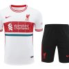 MAGLIA + PANTALONCINI LIVERPOOL 20242025