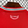 Maglia tifoso Galles 2026 per partita in casa