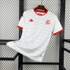 Maglia Tunisia Away Mondiale 2026