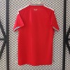 Maglia Galles Home 2025/26
