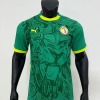 1_1755856568000.jpg Maglia Senegal Away Verde CAN 2025-26