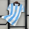 256bd5d7d8aae317d3787ab76773729d.jpg Maglia Argentina Concept 2025 2026
