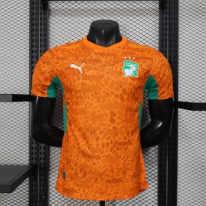Maglia Costa d'Avorio 2025/26 Player