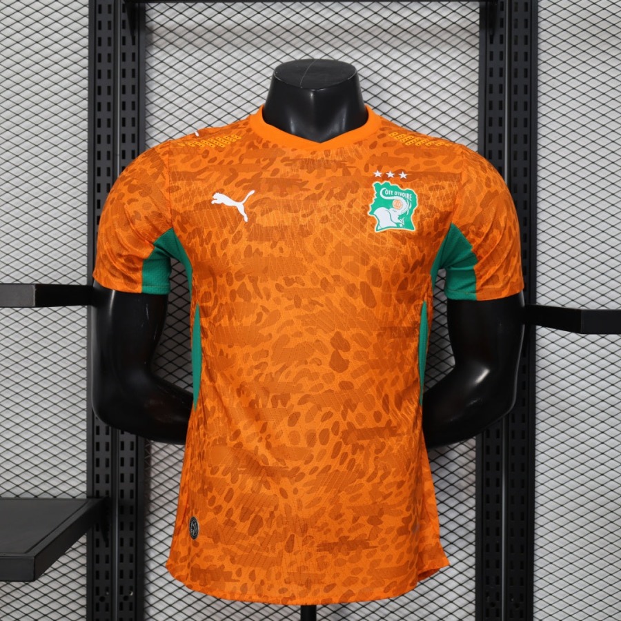 2a5c0d417d0952fb7ccddecf2a656d1f.jpg Maglia Costa d'Avorio 2025/26 Player