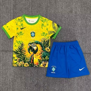 32dd660853906deffab8169e28fd5a0c.jpg Maglia Brasile 2026/27 Bambino Nero Edizione Speciale
