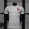 3b1e028b.jpg Maglia Lyon Concept 2025-26