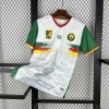 4fb05e84.jpg Maglia Camerun CAN 2025-26