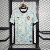 659e14907b056cb768d6ae098c7753c3.jpg Maglia Portogallo Away EURO 2024