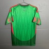 69375aa81fc956167b77b921910cde09.jpg Maglia Messico 2026 Green Edition