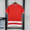 D9E371C3-25F7-4D4C-A48C-707C26BA4B5B.jpg Maglia FC Union Berlino Home 2025/26