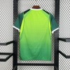 abf992bf6dbf1c4ddfdc482b3adb6296.jpg Maglia Nigeria Away 2026