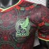 add17101.jpg Maglia Messico Concept 2026