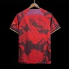 bf81d4432d5119715b562f2e6b5203ce.jpg Maglia Paris Concept 2024 2025
