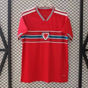 db928b2e5dda79c23d7e86fe58a9ad80.jpg Maglia Galles Home 2025/26