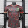 ee1c4a43.jpg Maglia Messico Concept 2026