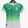 Maglia Costa d'Avorio Concept 2026
