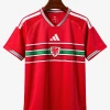 Maglia Home Galles 2026